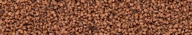 Photo of walnut shells